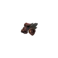 Rotten Raspberry