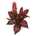 Elden-ring dragons-calorbloom.webp
