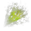 Acid Bite
