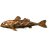 Cooked Direfish