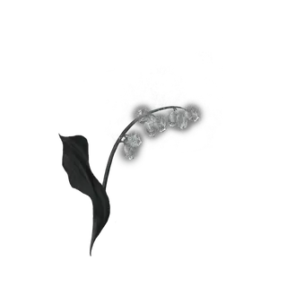 Grave Glovewort [1]