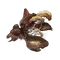 Elden-ring miranda-powder.webp