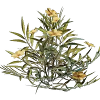 Kindlewastes Flower