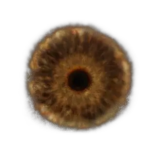 Hero's Rune [5]