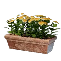 Long Yellow Flower Pot