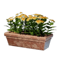 Long Yellow Flower Pot