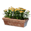 Long Yellow Flower Pot
