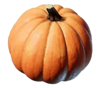 Pumpkin