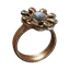 Ring of the Ancients