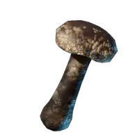Roasted Shiitake Mushroom