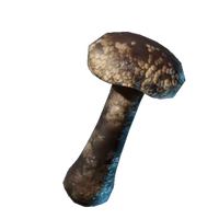 Roasted Shiitake Mushroom