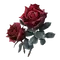 Elden-ring bloodrose.webp