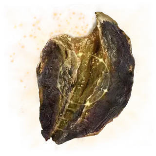 Holyproof Dried Liver