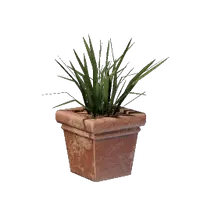 Square Grass Pot