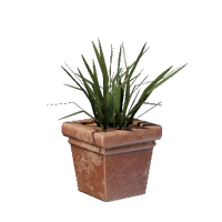 Square Grass Pot