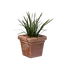 Square Grass Pot