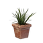 Square Grass Pot
