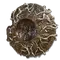 Elden-ring erdtree-greatshield.webp