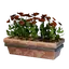 Long Red Wall Flower Pot