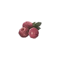 Raspberry