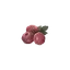 Raspberry