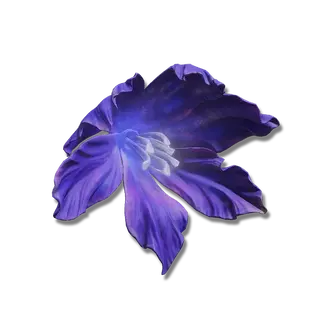 St. Trina's Blossom