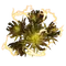 Elden-ring yellow-fulgurbloom.webp