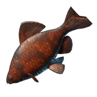 Grilled Shimmerfin