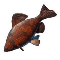 Grilled Shimmerfin