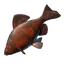 Grilled Shimmerfin