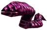 Leech