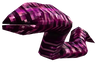 Leech