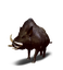 Wild Boar