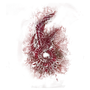 Elden-ring dragon-communion-seal.webp