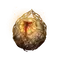 Elden-ring marikas-soreseal.webp