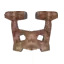 Asksvin Pelvis