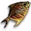 Dried Fish
