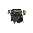 Dragon's Dogma 2 Final Roar.webp