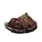 Elden-ring warrior-jar-shard.webp