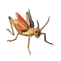 Grasshopper