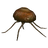 Watcher's Eye