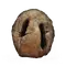 Elden-ring prattling-pate-apologies.webp