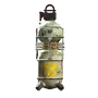 Fallout 4 Nuka Grenade.webp