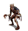 Spotted Wight